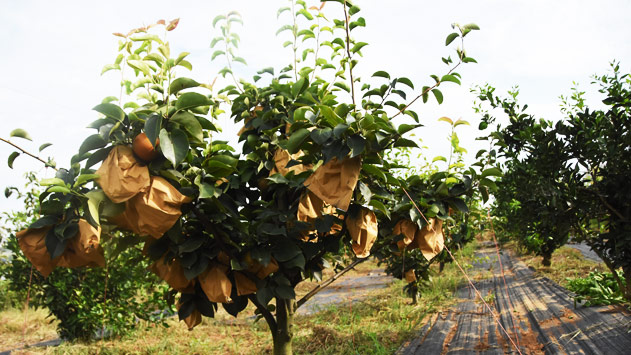 不朽情缘(中国区)官方网站