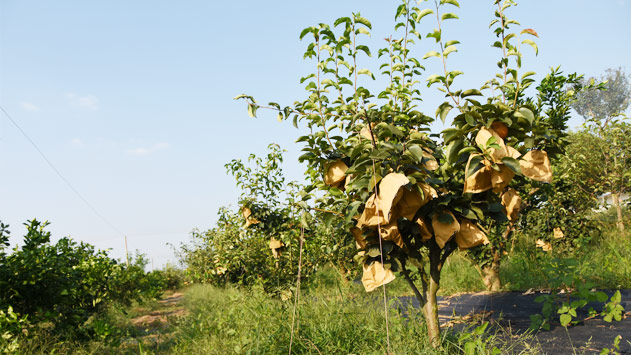 不朽情缘(中国区)官方网站